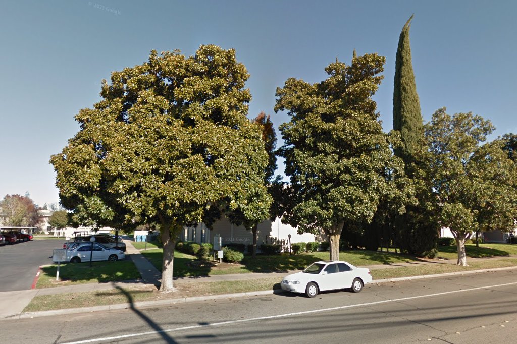 Live Oak Apartments
