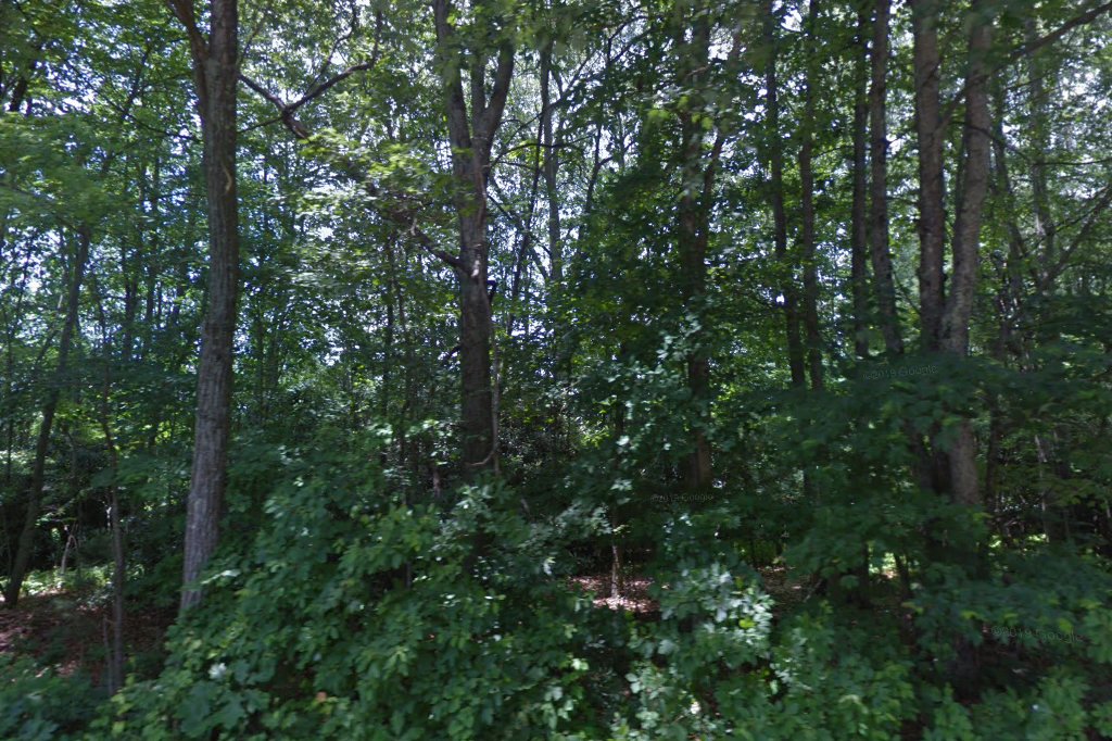 Arc/Hds Alleghany Co Gh
