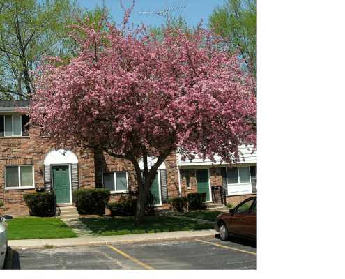 Briar Crest I
