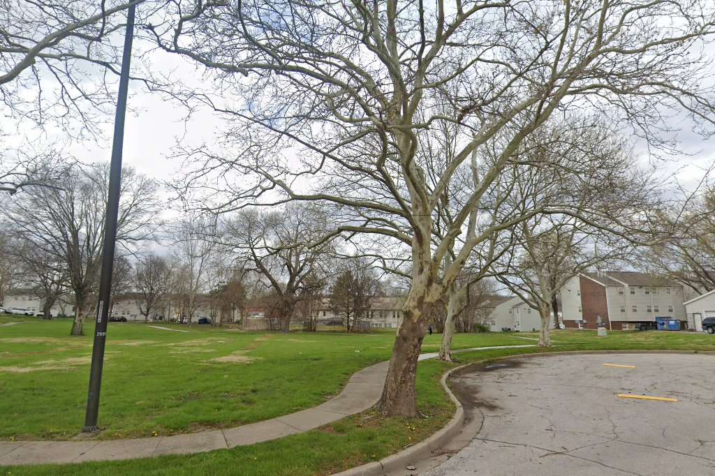 Sycamore Groves