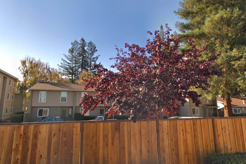Aster Park Apartment
