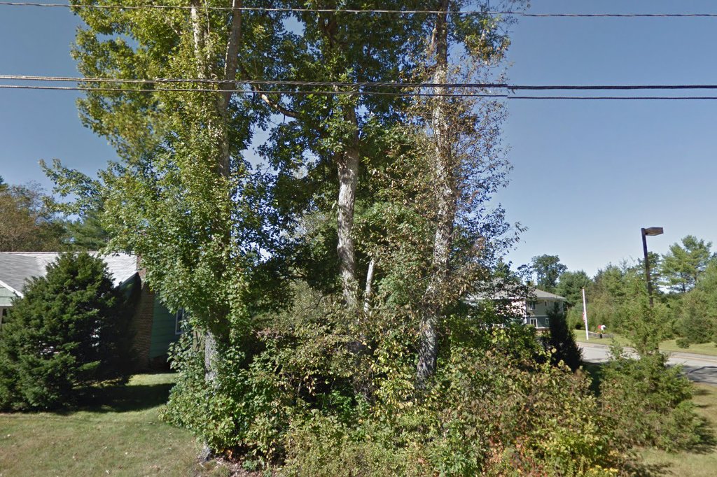 The Richard Brown House