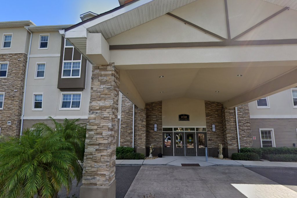 Vista Grand At Spring Hill