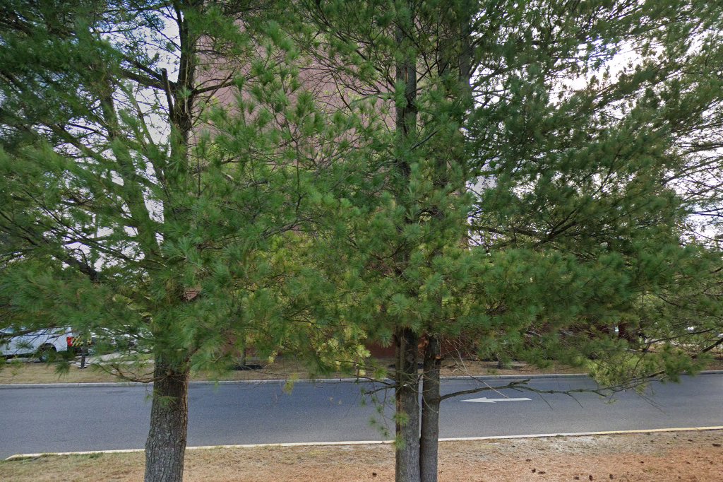 Vineland Housing Authority
