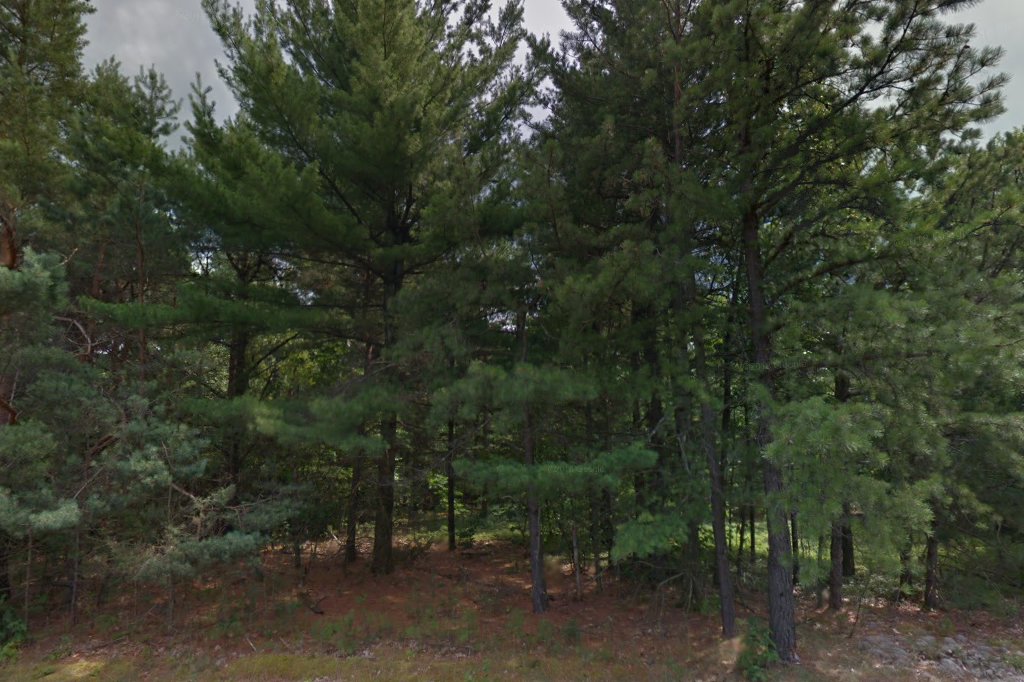 Keeseville Country Gardens