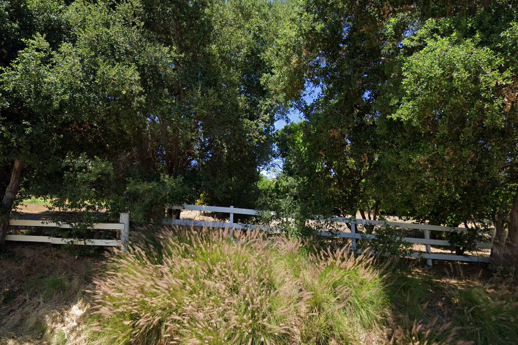 Martin House