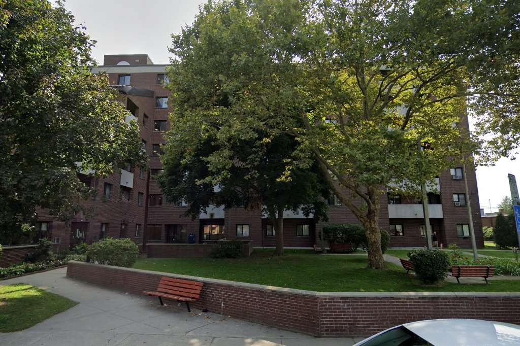 Springfield Gentile Apt
