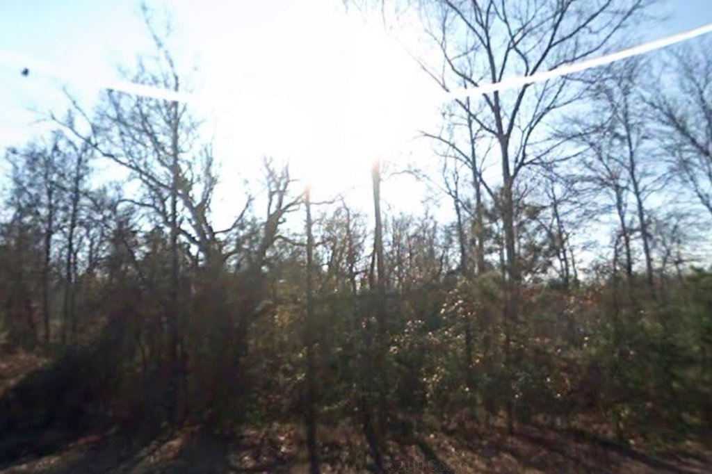 Golden Pond Manor