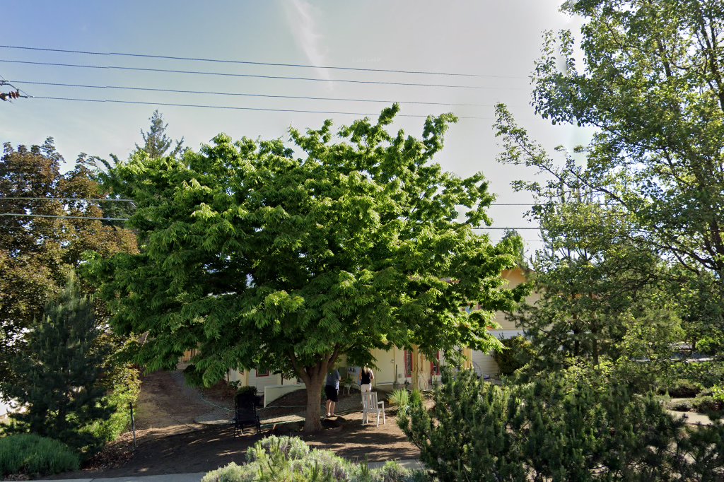 Star Thistle Apartments