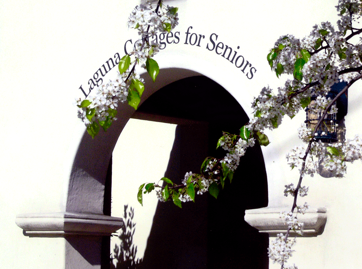 Laguna Cottages For Seniors