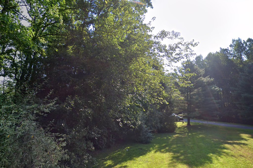 Tinton Woods