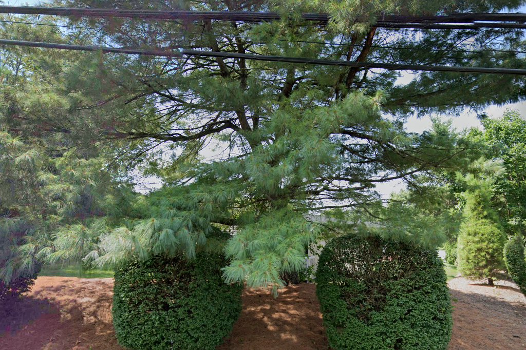 Valley Vista