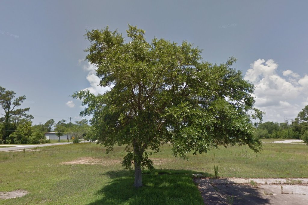 Waveland Housing Authority