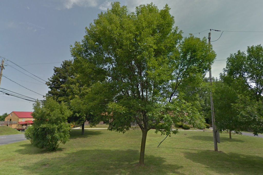 Rensselaer County Community Residential