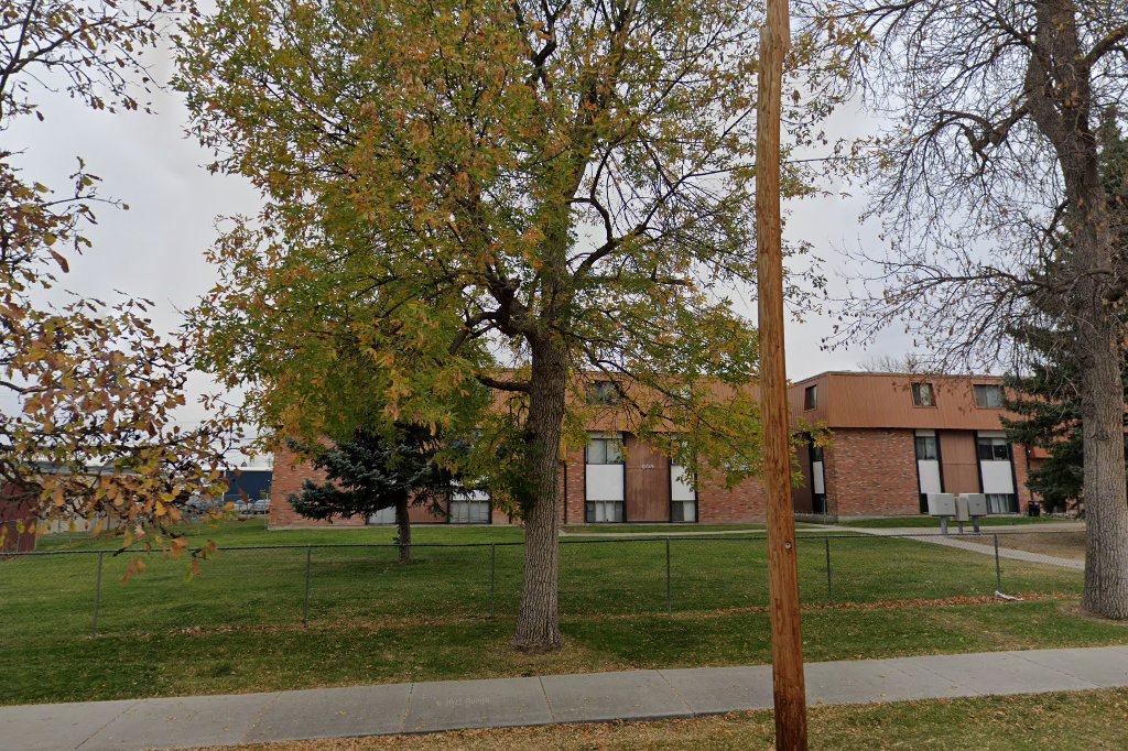 The Elmwoods