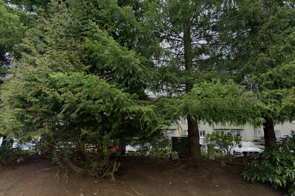 Lake Woods I