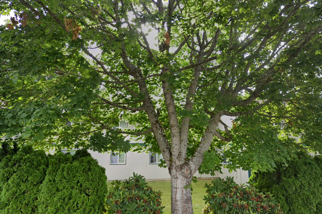 Pinewood Manor