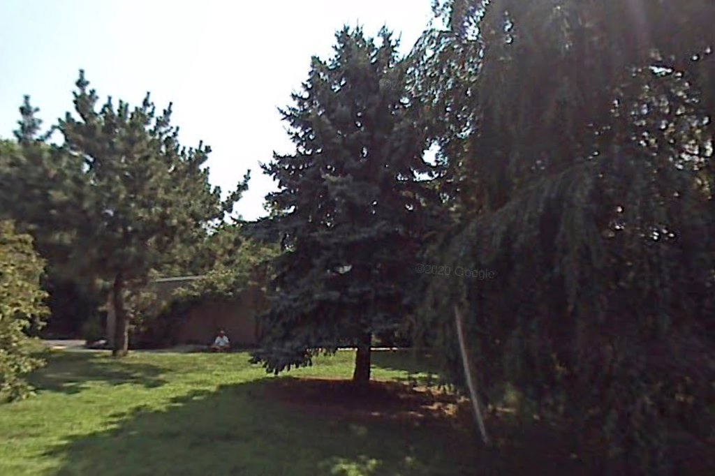 Billy Cook Foundation