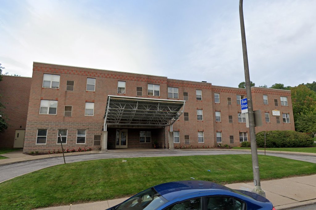 Negley Commons