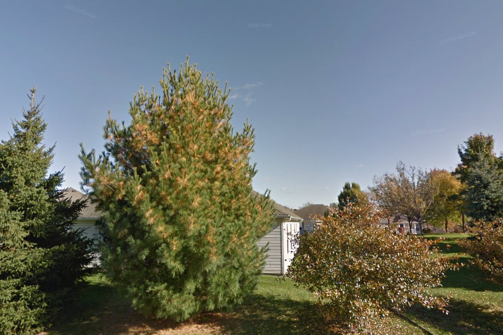 Apple Ridge Apartments