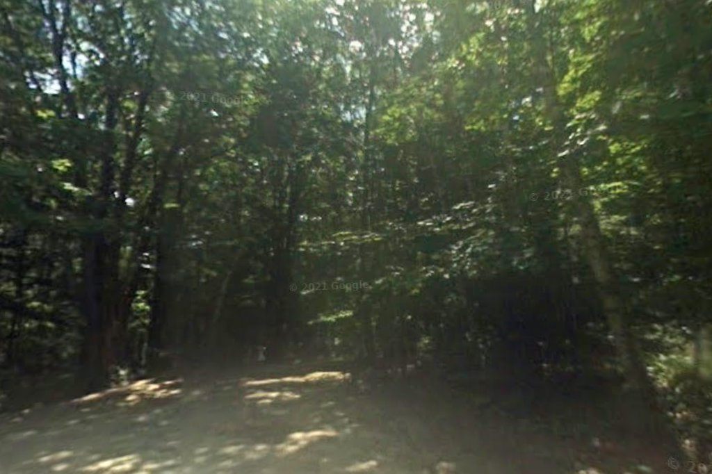 Newbury Commons