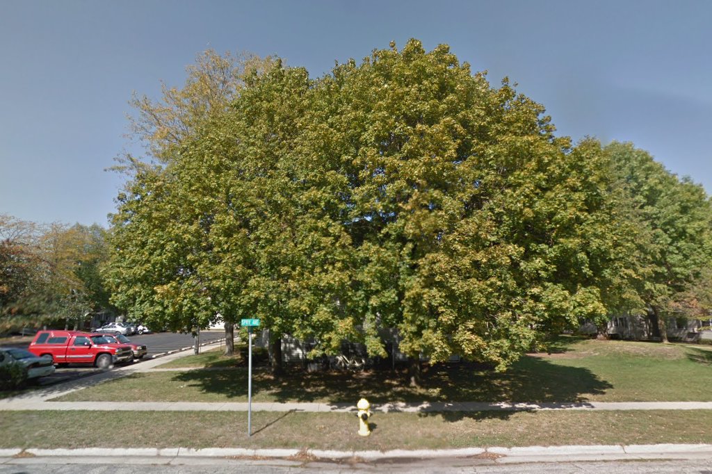 Rockwell Court Apts