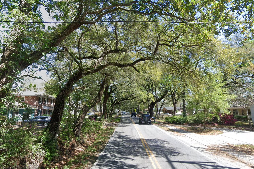 Charleston Housing Opportunities 1993