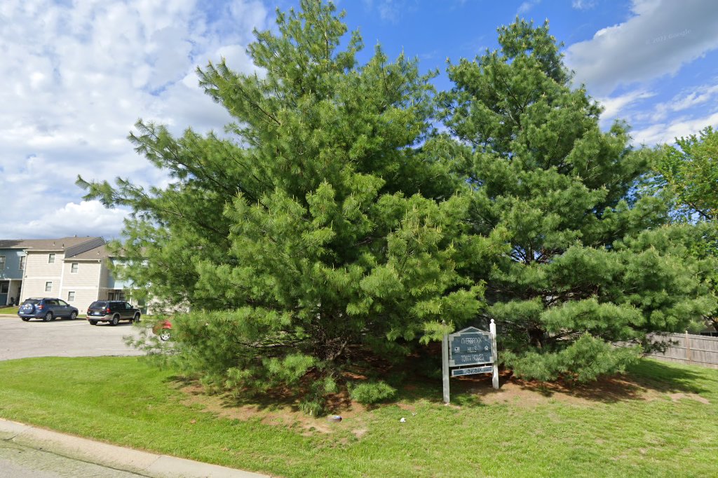 Overbrook Hills