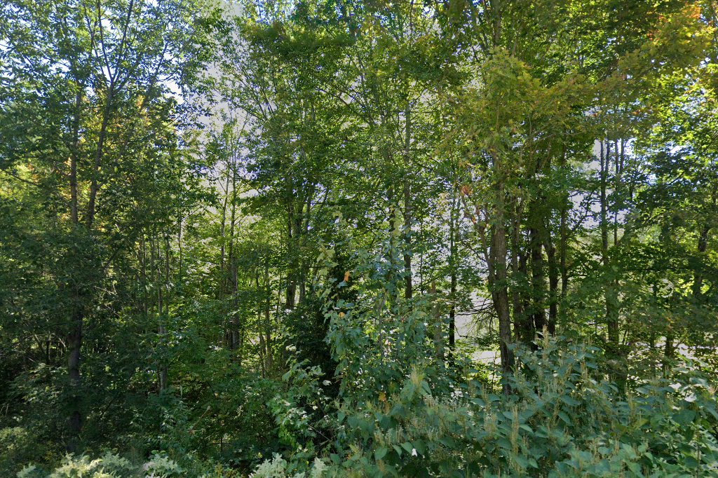 Whispering Pines