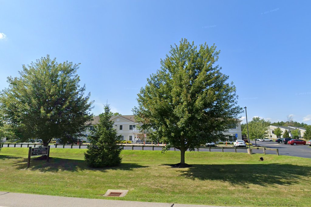 Daffodil Apartments