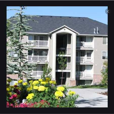 Coppergate Apartments