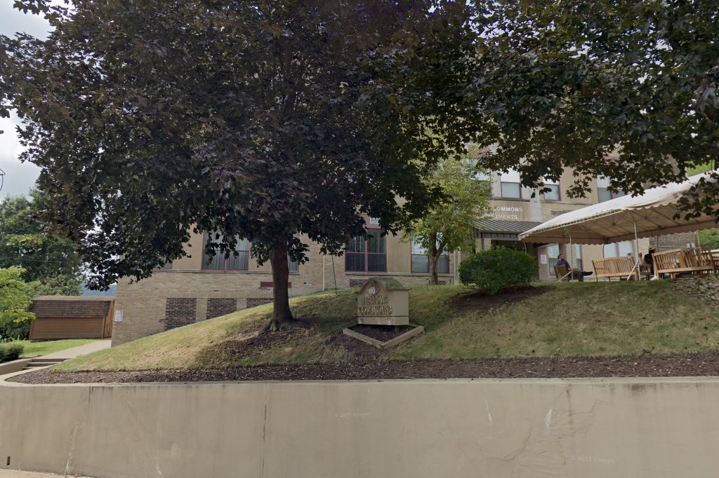 Etna Commons