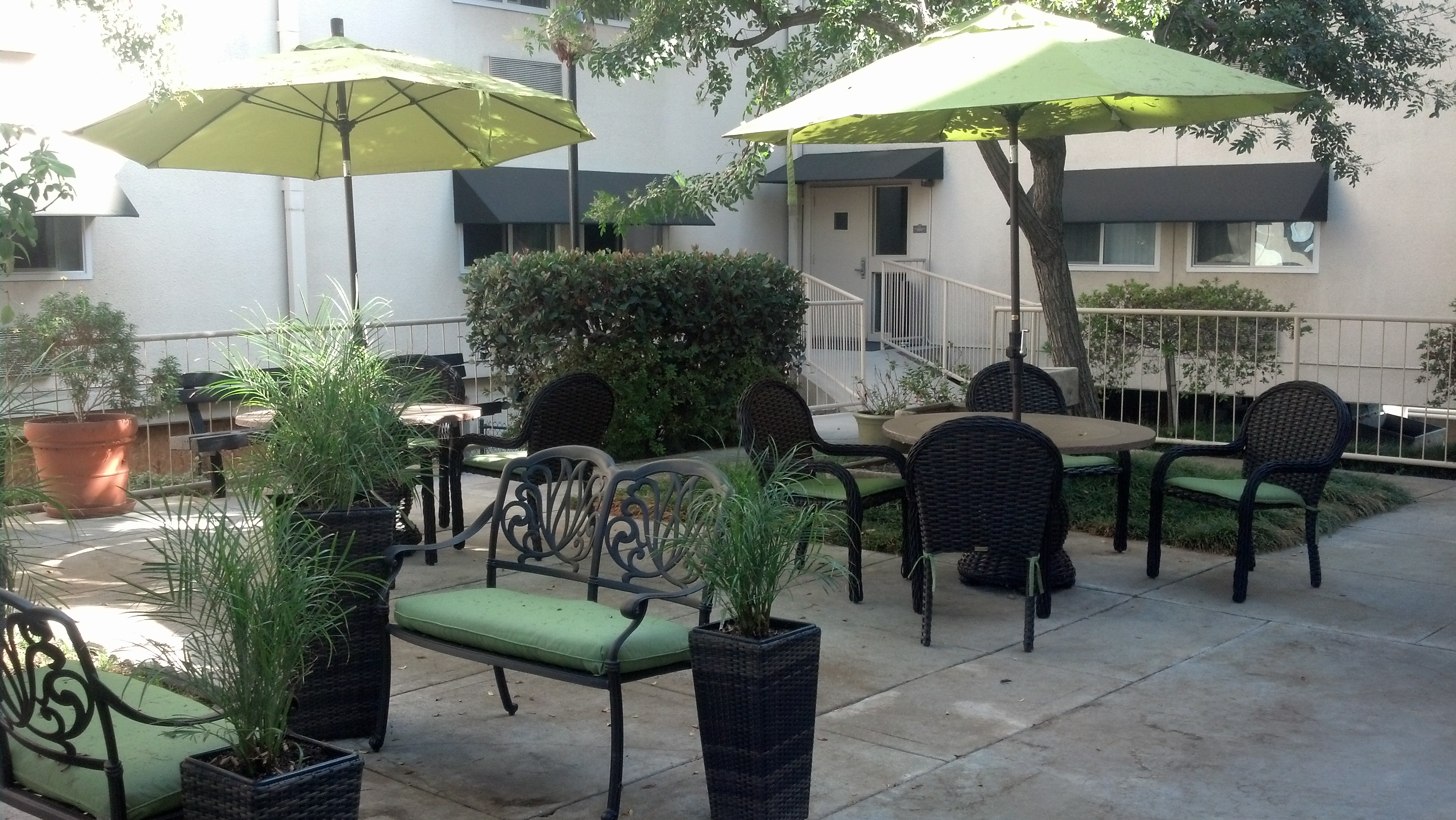 Naomi Gardens