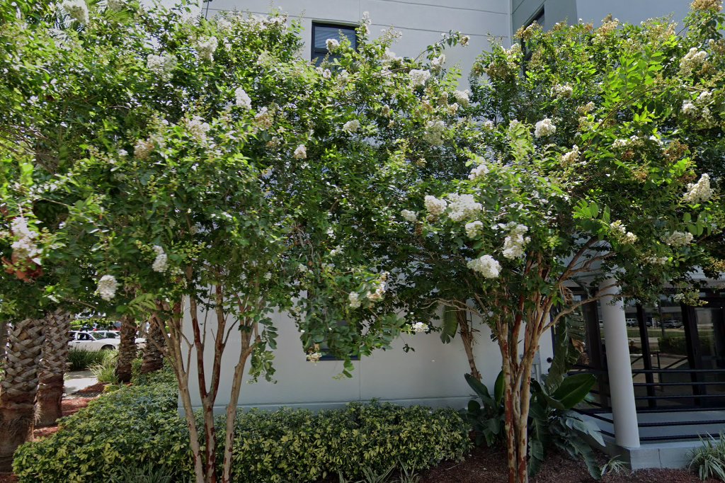 Clearwater Housing Authority