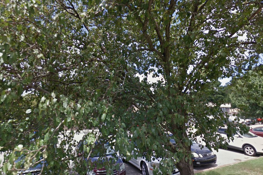 Jackson Housing Authority