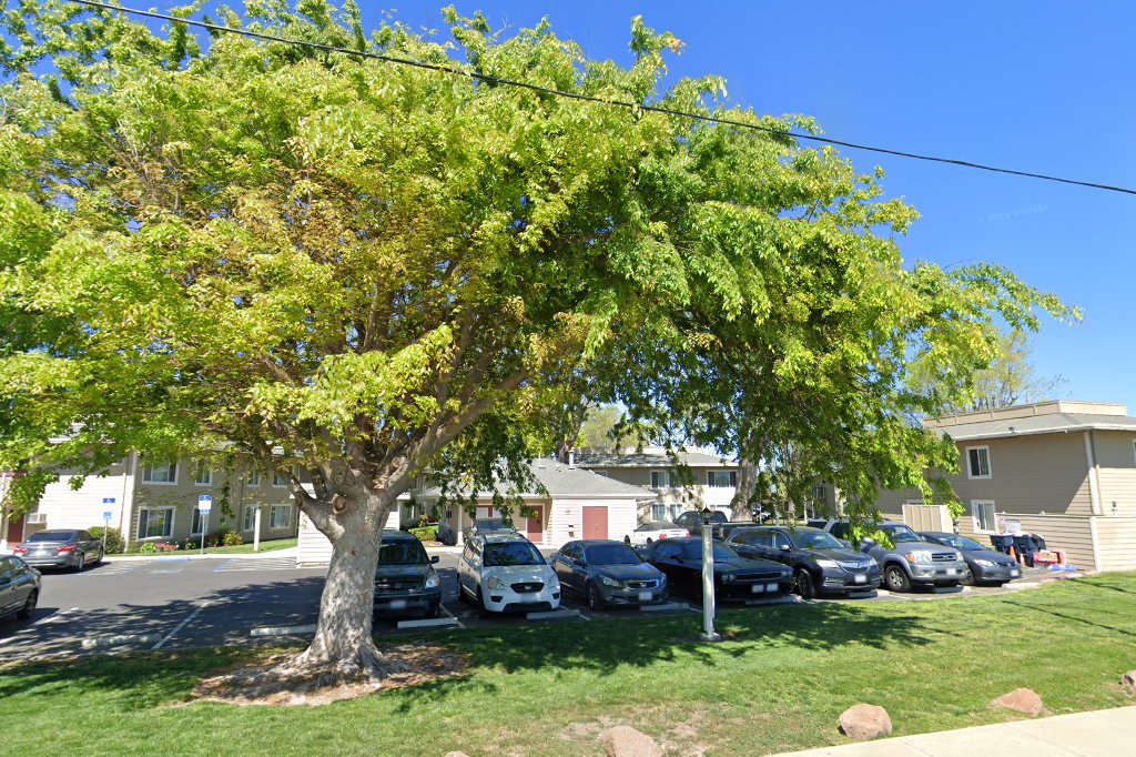 Tracy Village