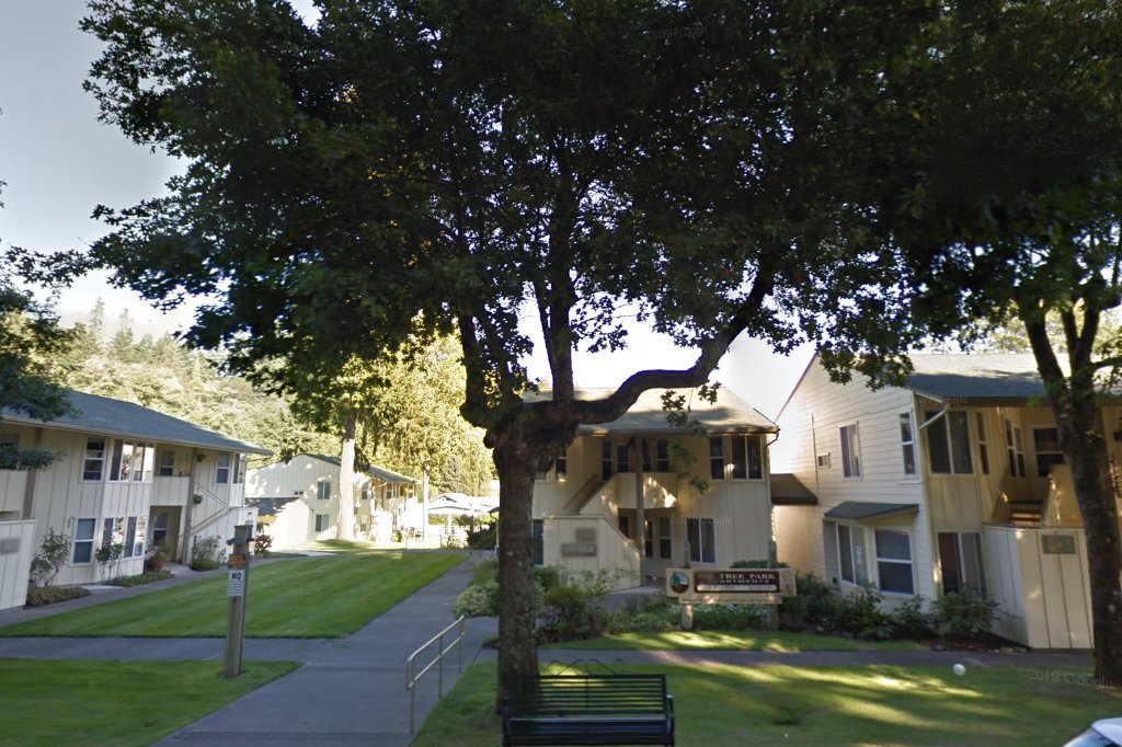 Fir Tree Park