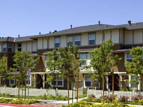 Sara Conner Court Hayward