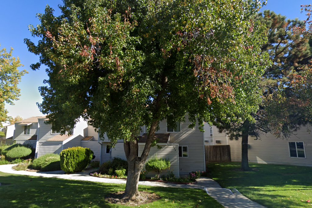Treehouse Apartments