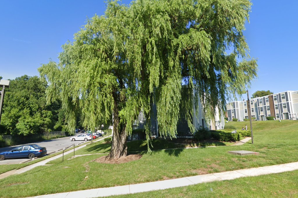 Millwood Townhouses