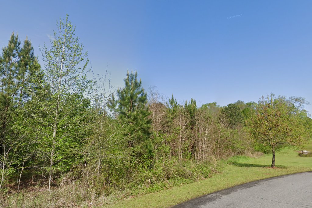 River Shoals Of Baldwin