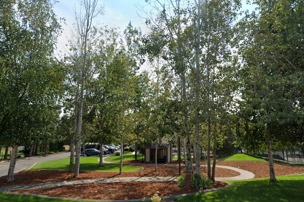 Trent Terrace